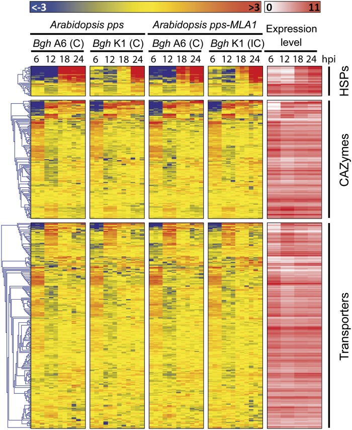 Fig. 4.