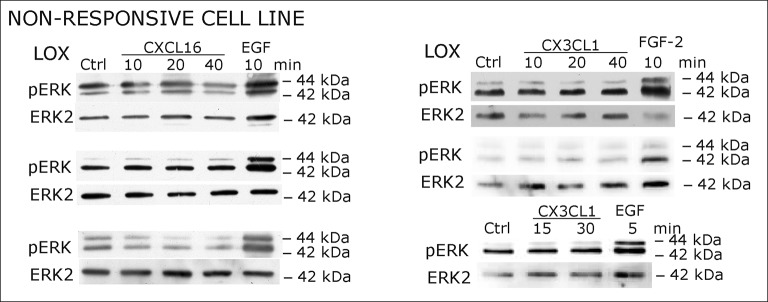 Figure 2—figure supplement 2.