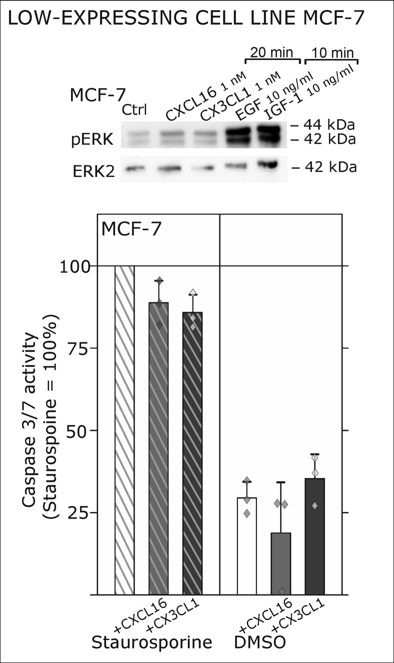 Figure 3—figure supplement 1.