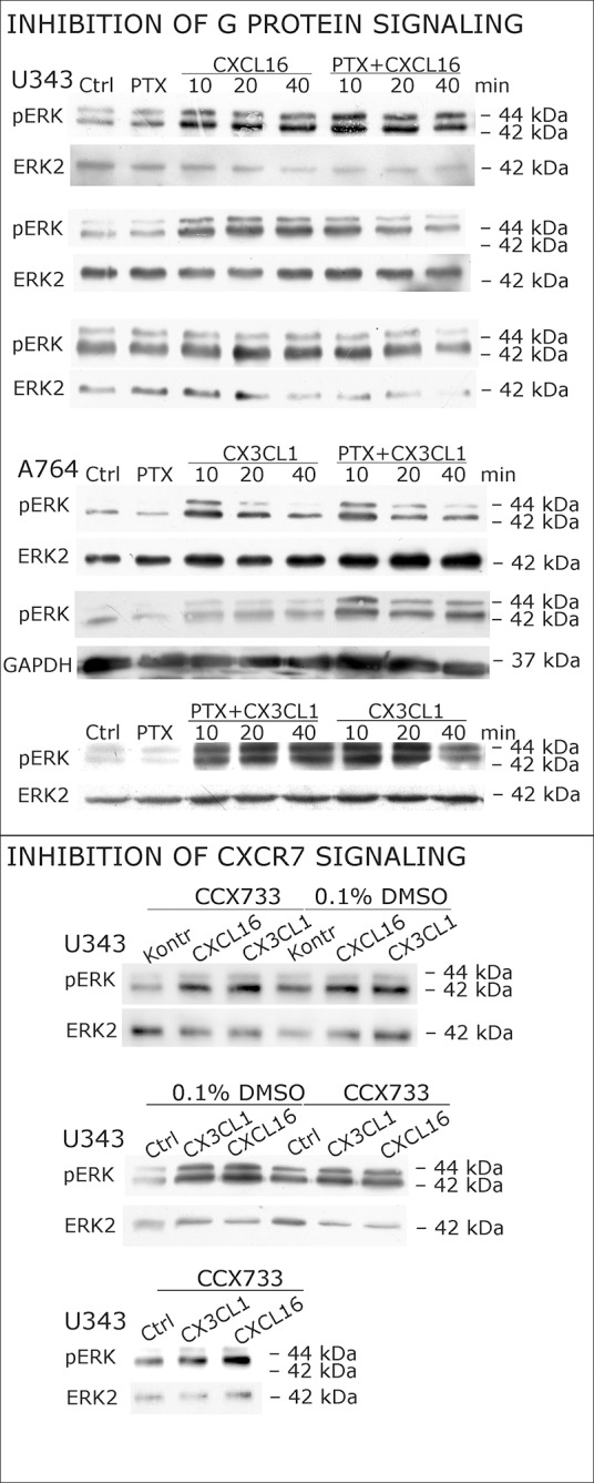 Figure 4—figure supplement 1.