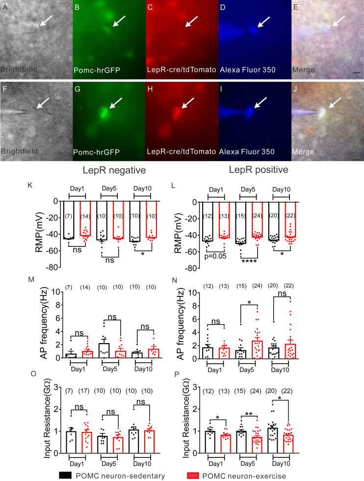 Figure 6