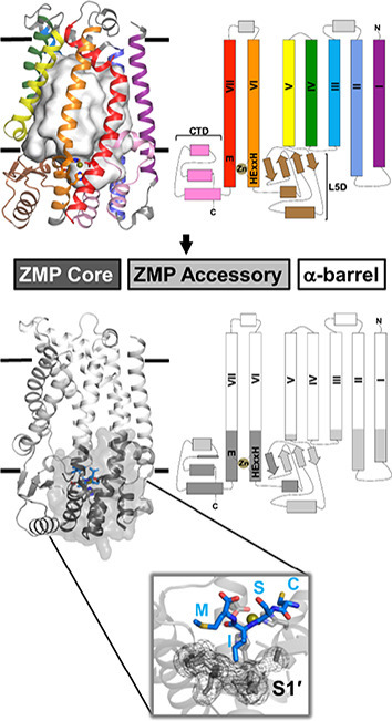 Unlabelled Image