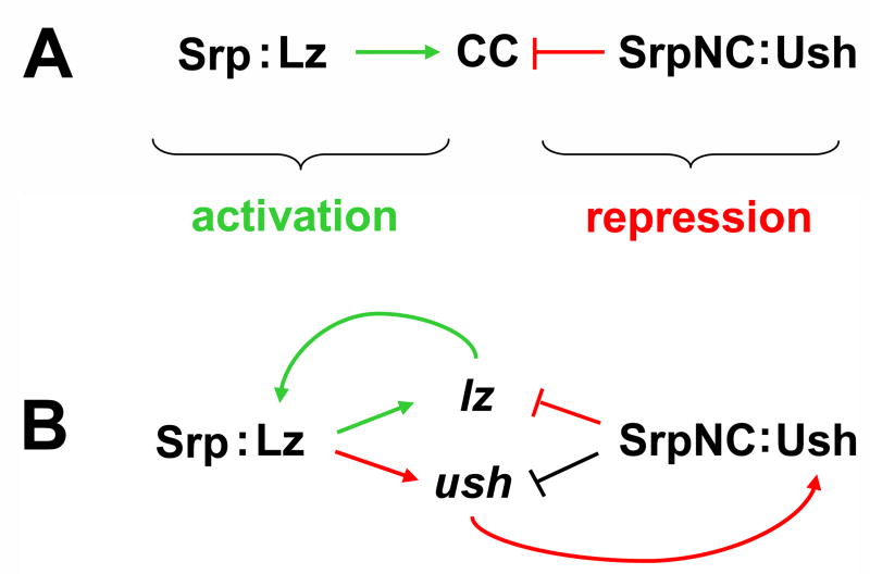 Fig. 7