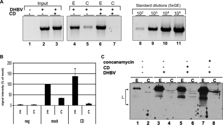 FIG. 8.