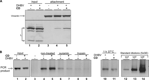 FIG. 7.