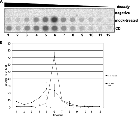 FIG. 5.