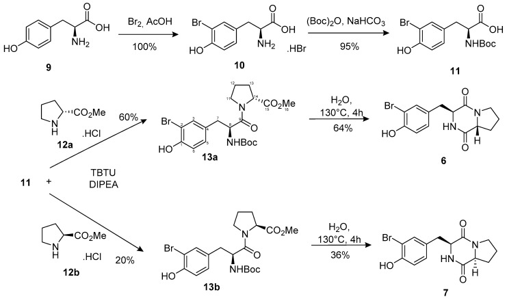 Scheme 1