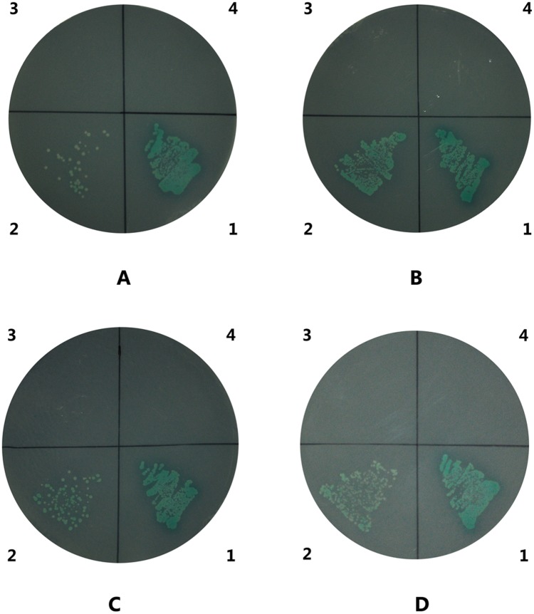 Fig 11