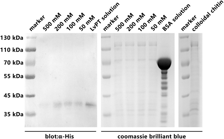 Fig 10