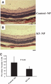 FIG. 6