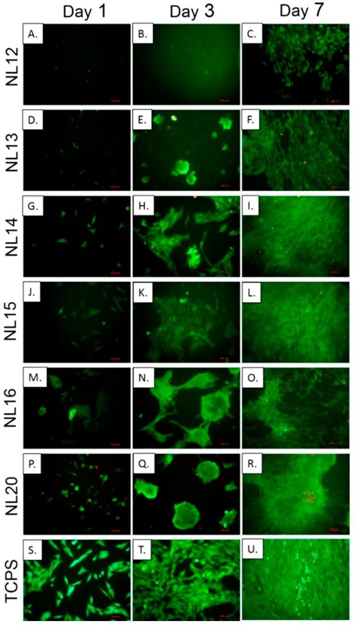 Figure 13