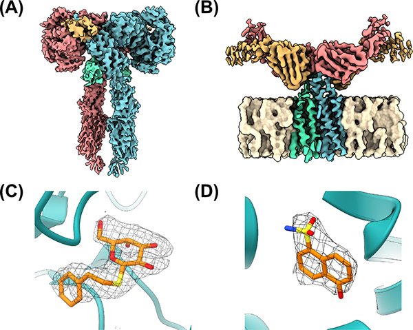 Figure 3: