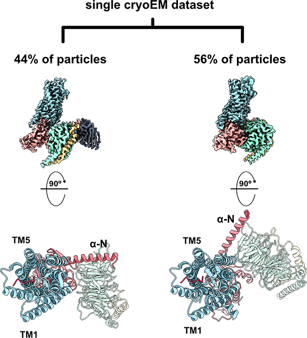 Figure 4: