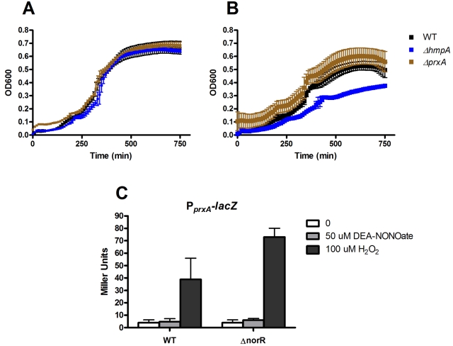 FIG 3 