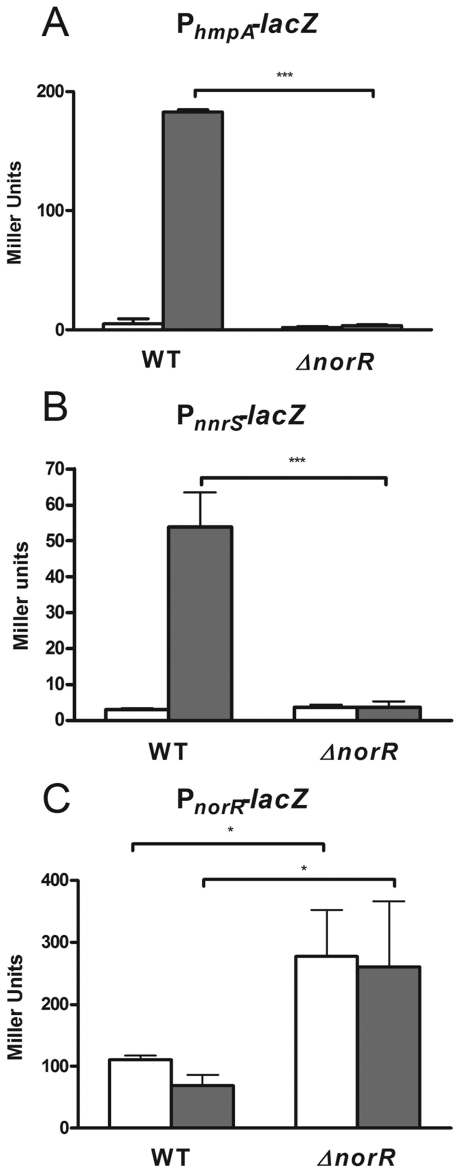 FIG 1 