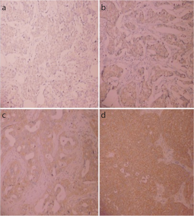 Figure 2. a–d.