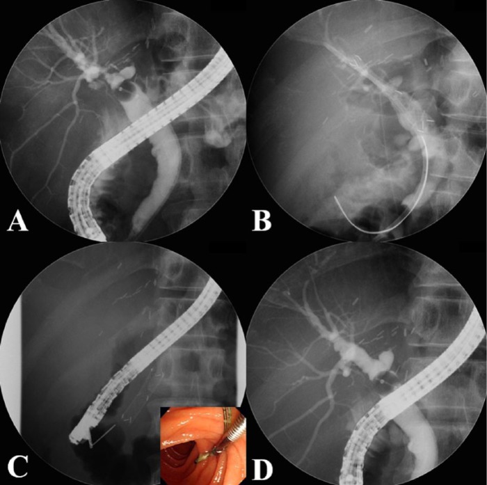 Figure 2.