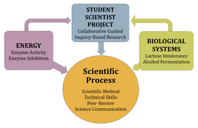 FIGURE 1