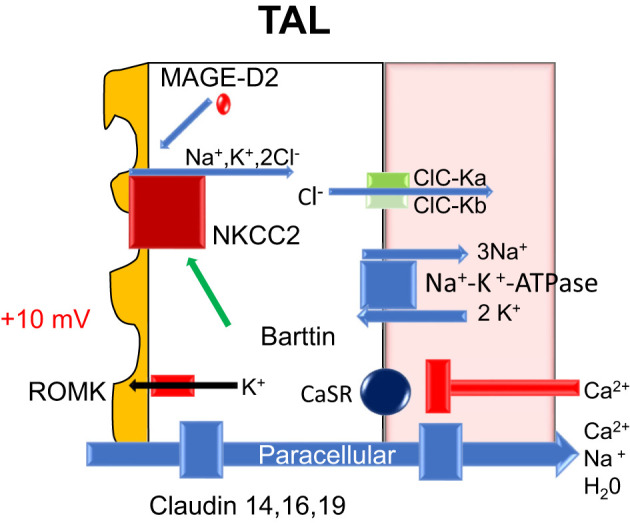 Figure 5