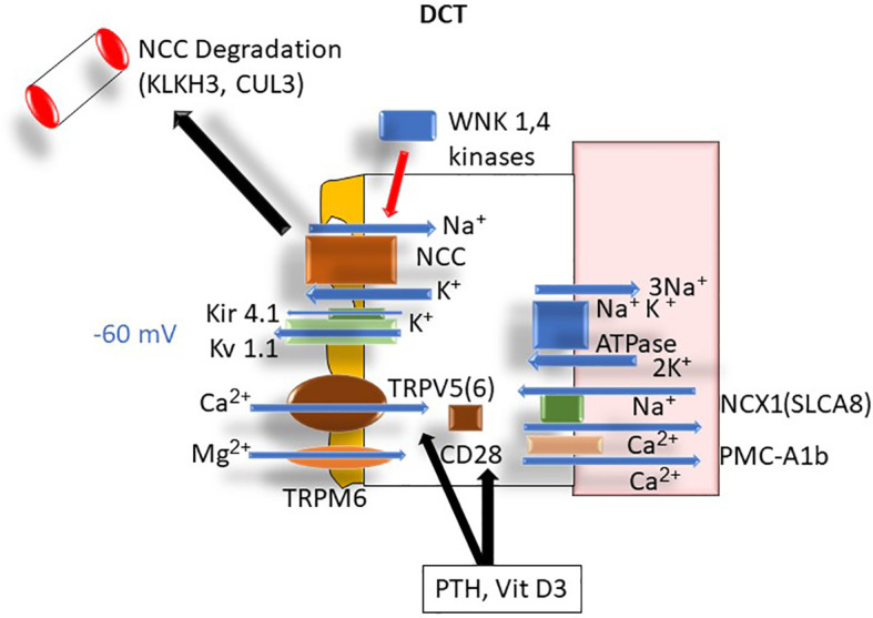 Figure 6