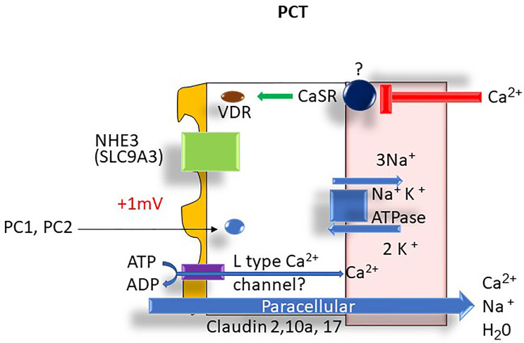 Figure 4