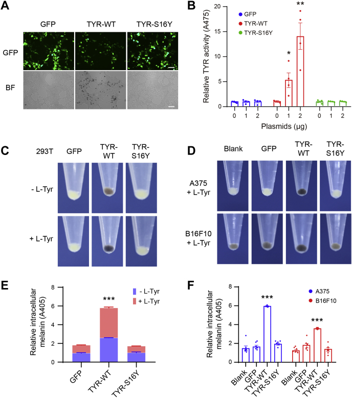 Figure 2