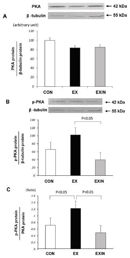 Fig.3.