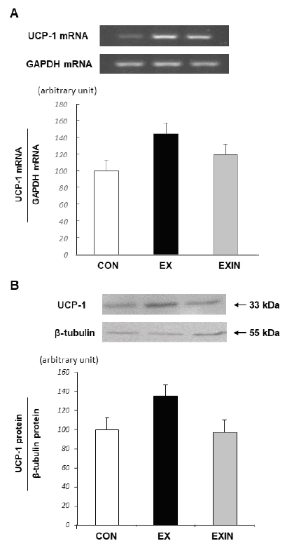 Fig.4.