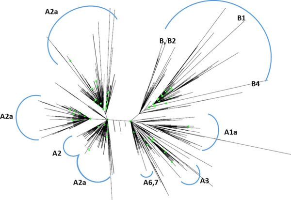 Fig 3