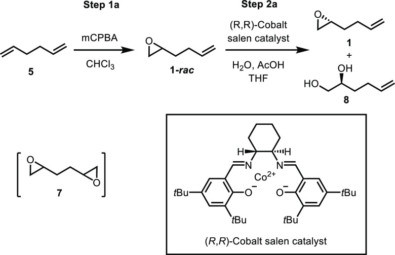 Scheme 2