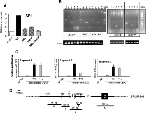 Figure 2