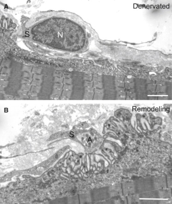 Figure 3