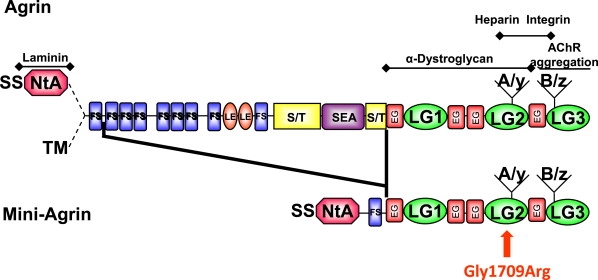 Figure 5