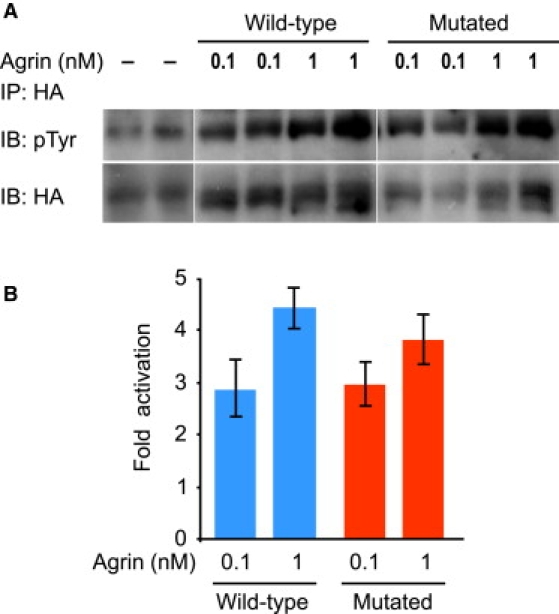 Figure 7