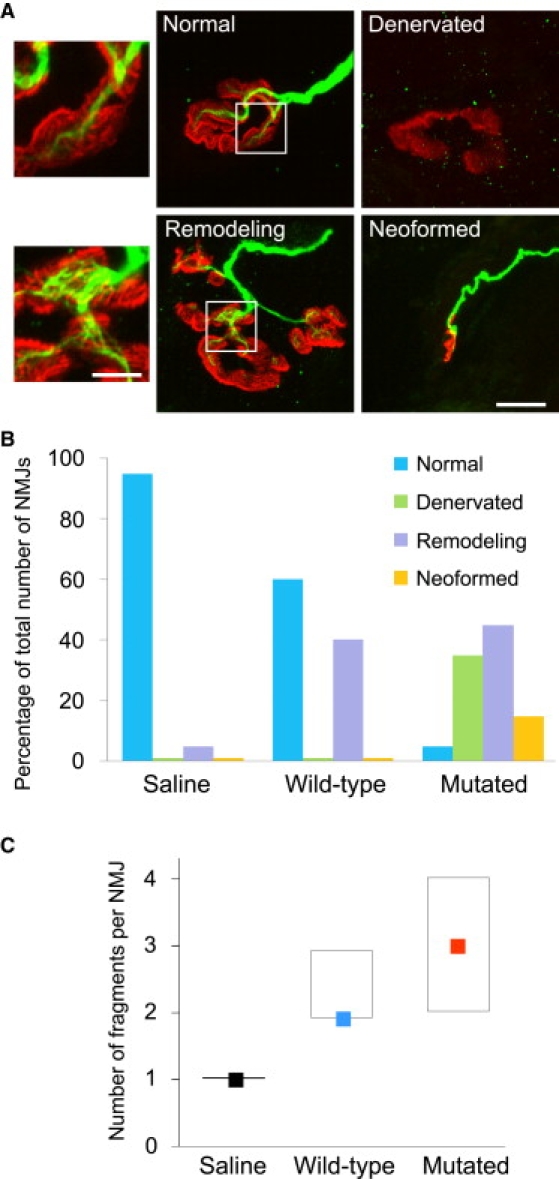 Figure 10