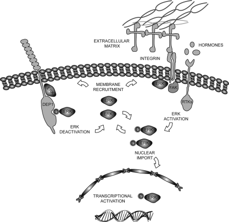 FIGURE 10.