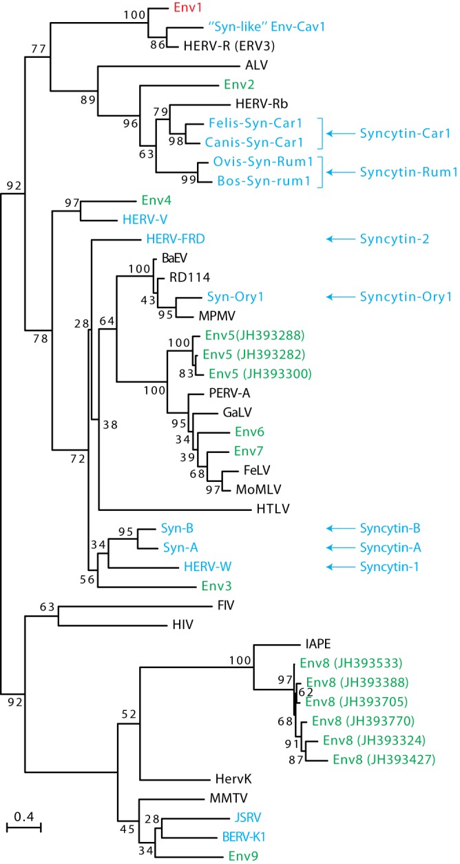 FIG 3