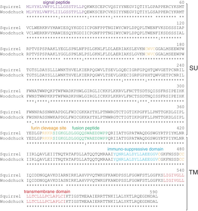 FIG 6