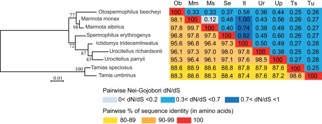 FIG 10