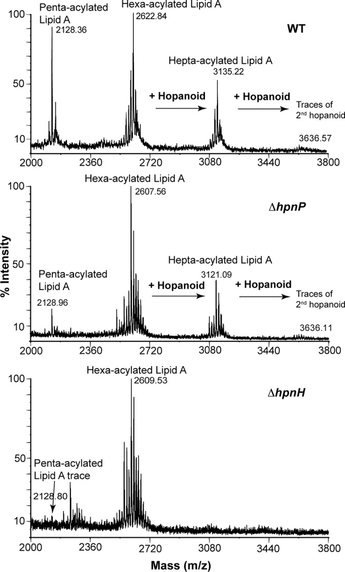 FIG 2 