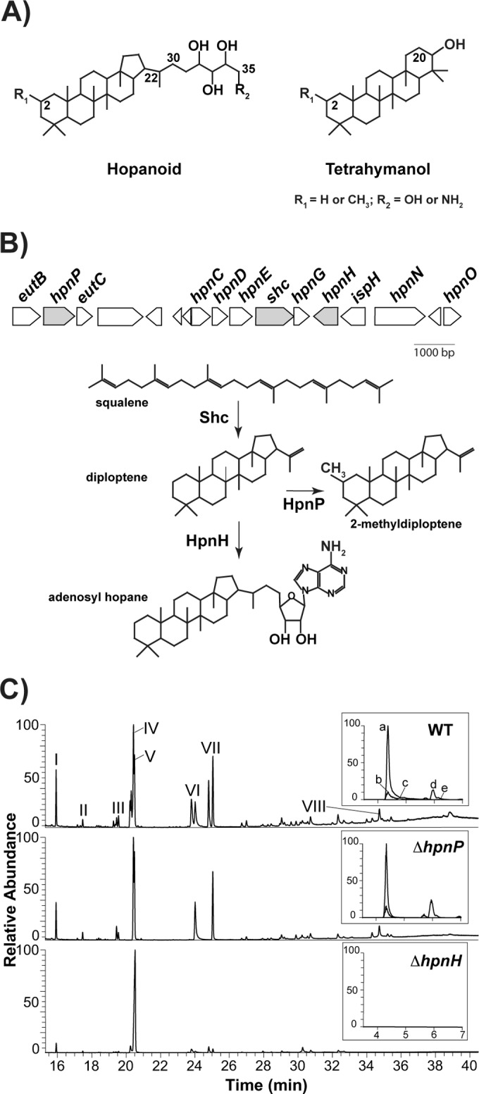 FIG 1 