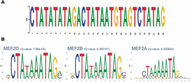 Figure 6.