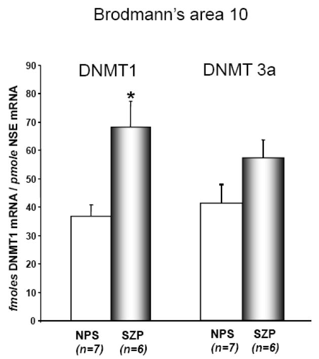 FIG 1