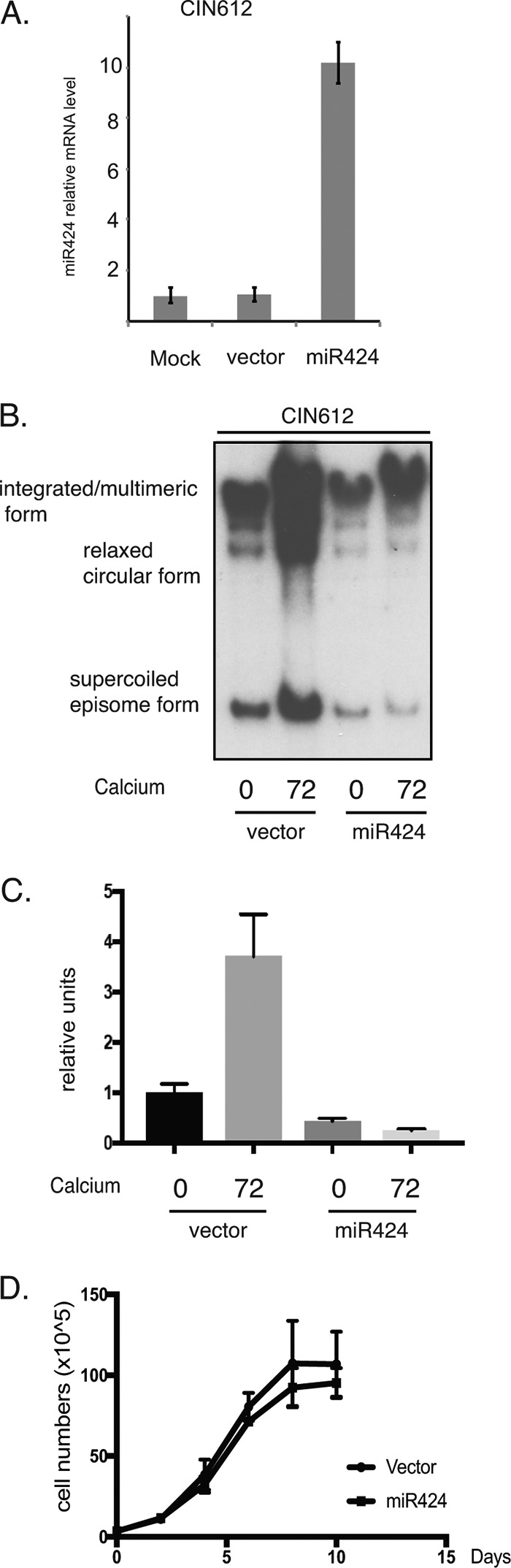 FIG 2