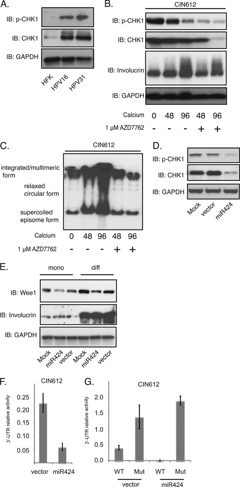 FIG 3