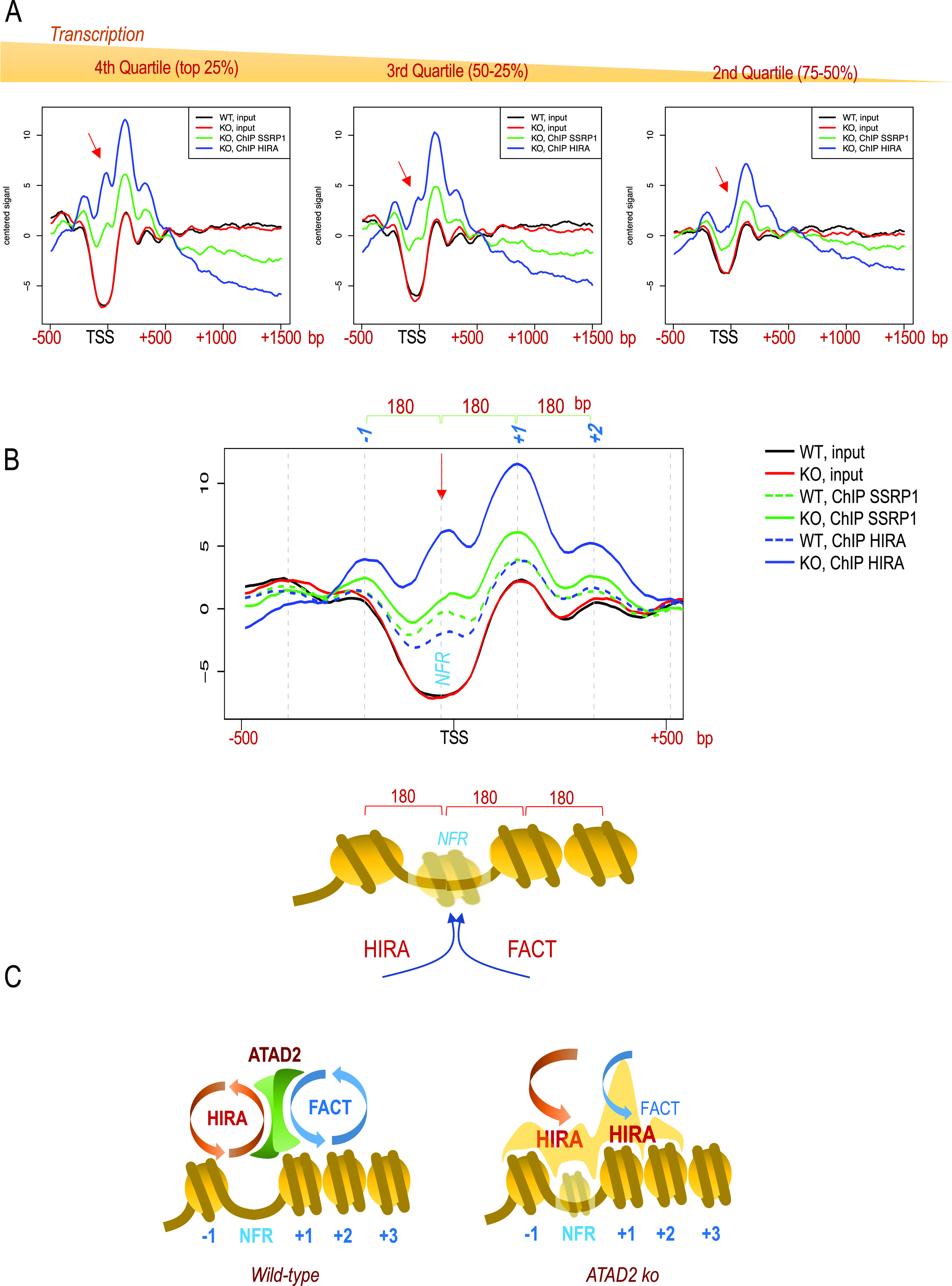 Figure 4.