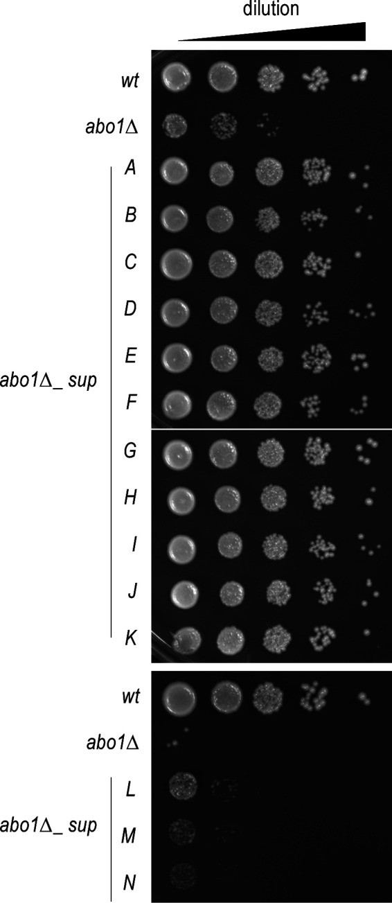 Figure S1.