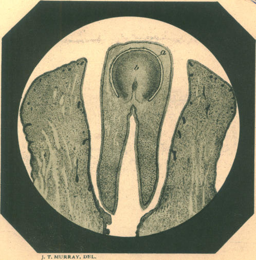 FIG. 8