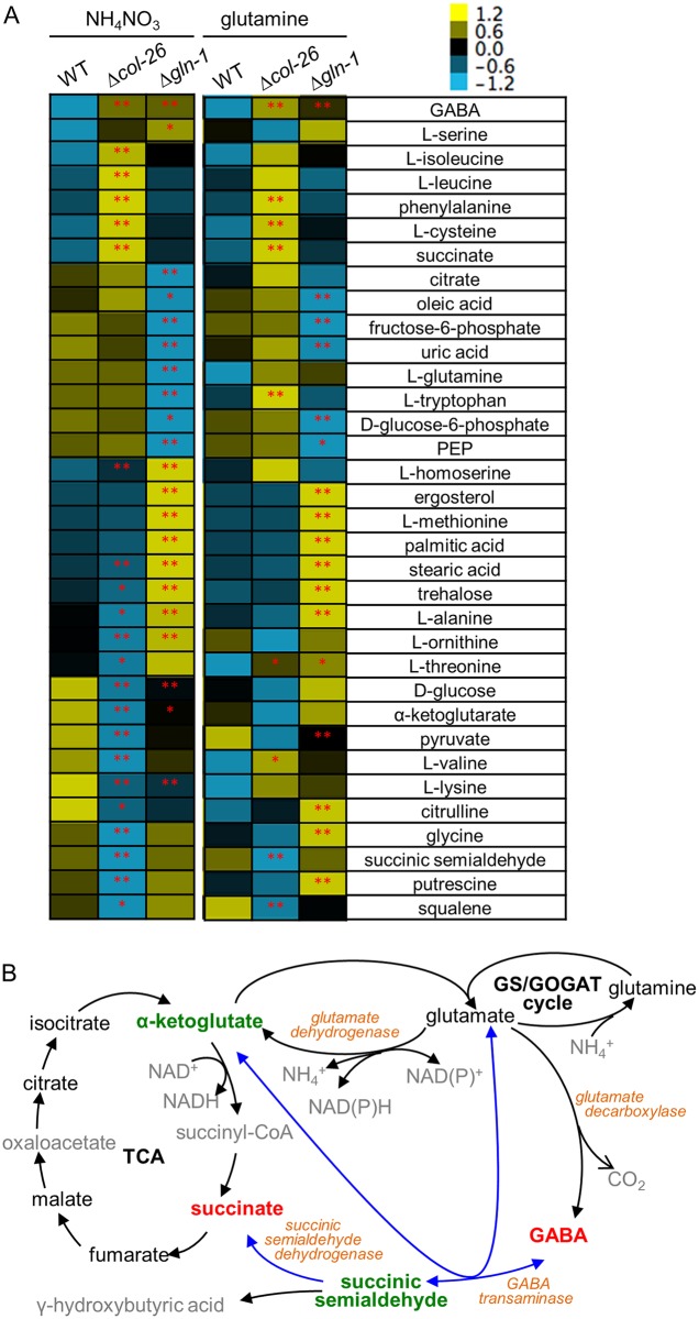 Fig 5