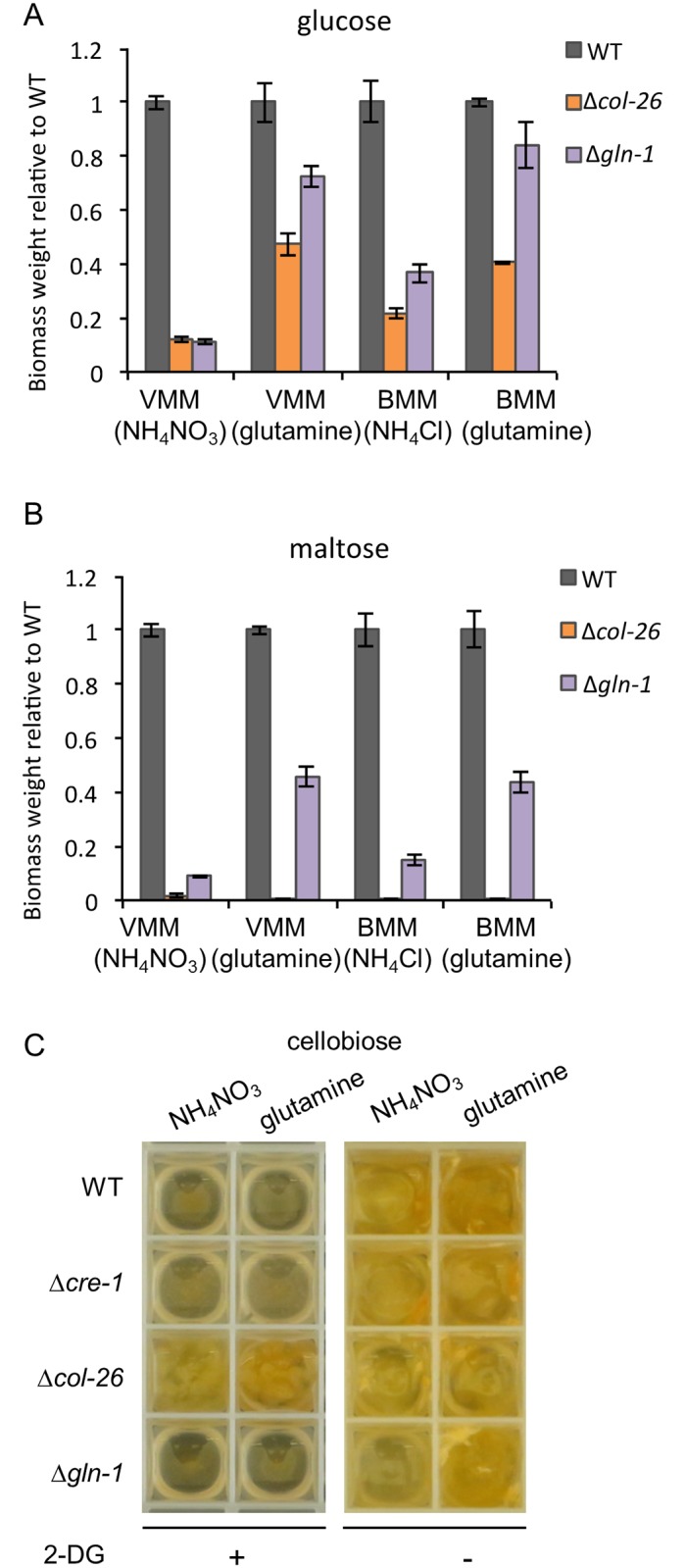 Fig 4